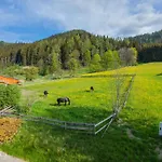 Huberhof 8 By Alpenidyll Apartments