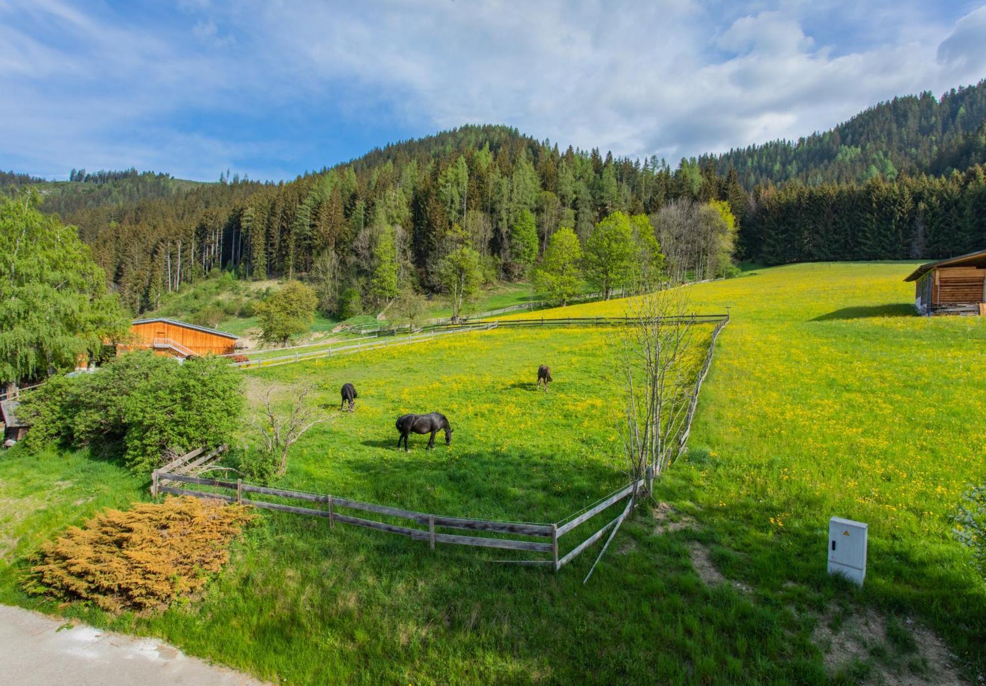 Huberhof 8 By Alpenidyll Apartmán